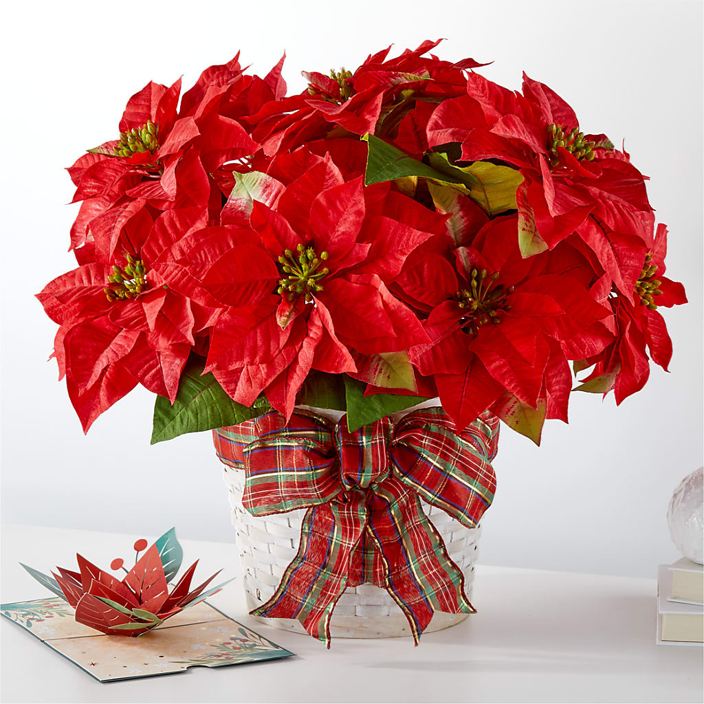 Happiest Holidays Poinsettia and Lovepop Card – VIVA'S FLOWER SHOP, Framingham MA