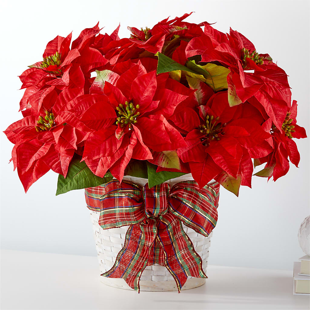Happiest Holidays Poinsettia – VIVA'S FLOWER SHOP, Framingham MA