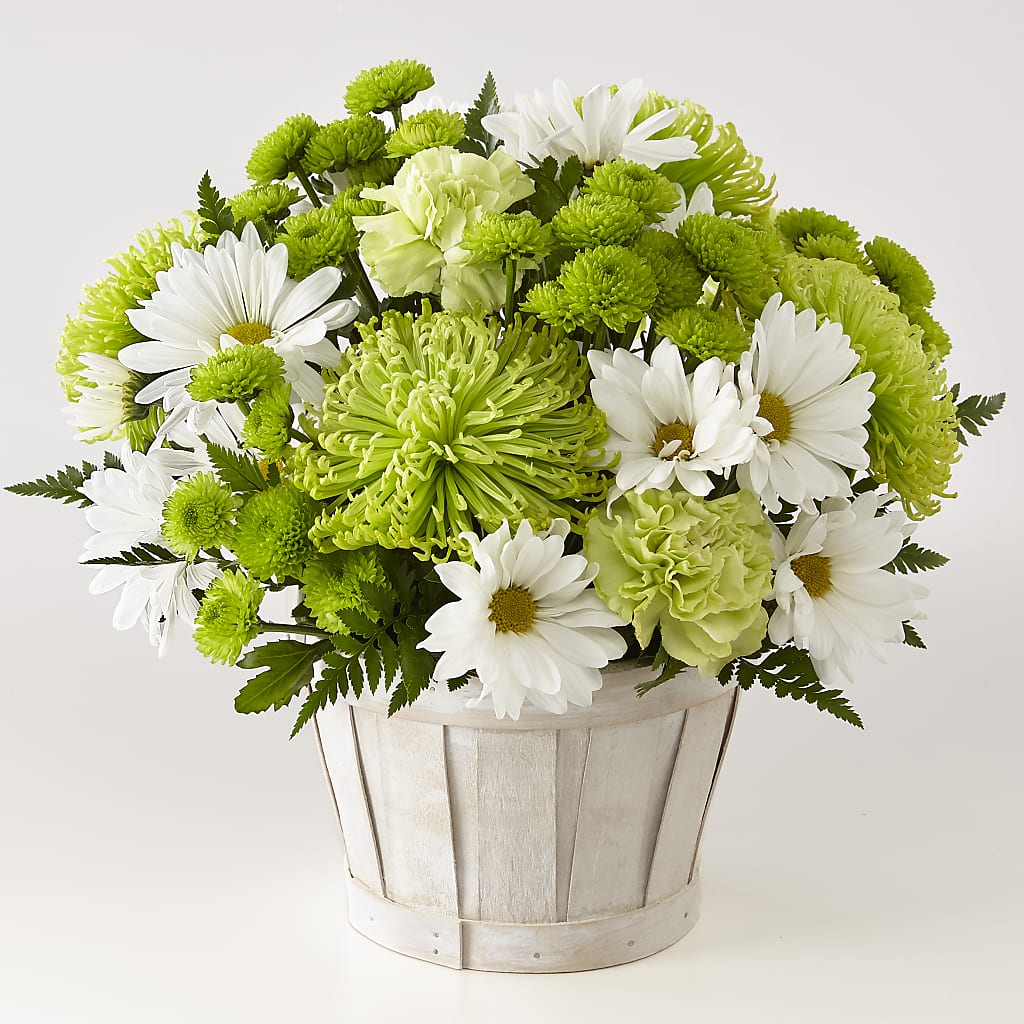 Lucky Charm Basket (Standard) – VIVA'S FLOWER SHOP, Framingham MA