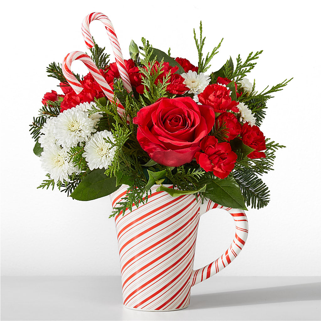 Peppermint Swirl Mug – VIVA'S FLOWER SHOP, Framingham MA