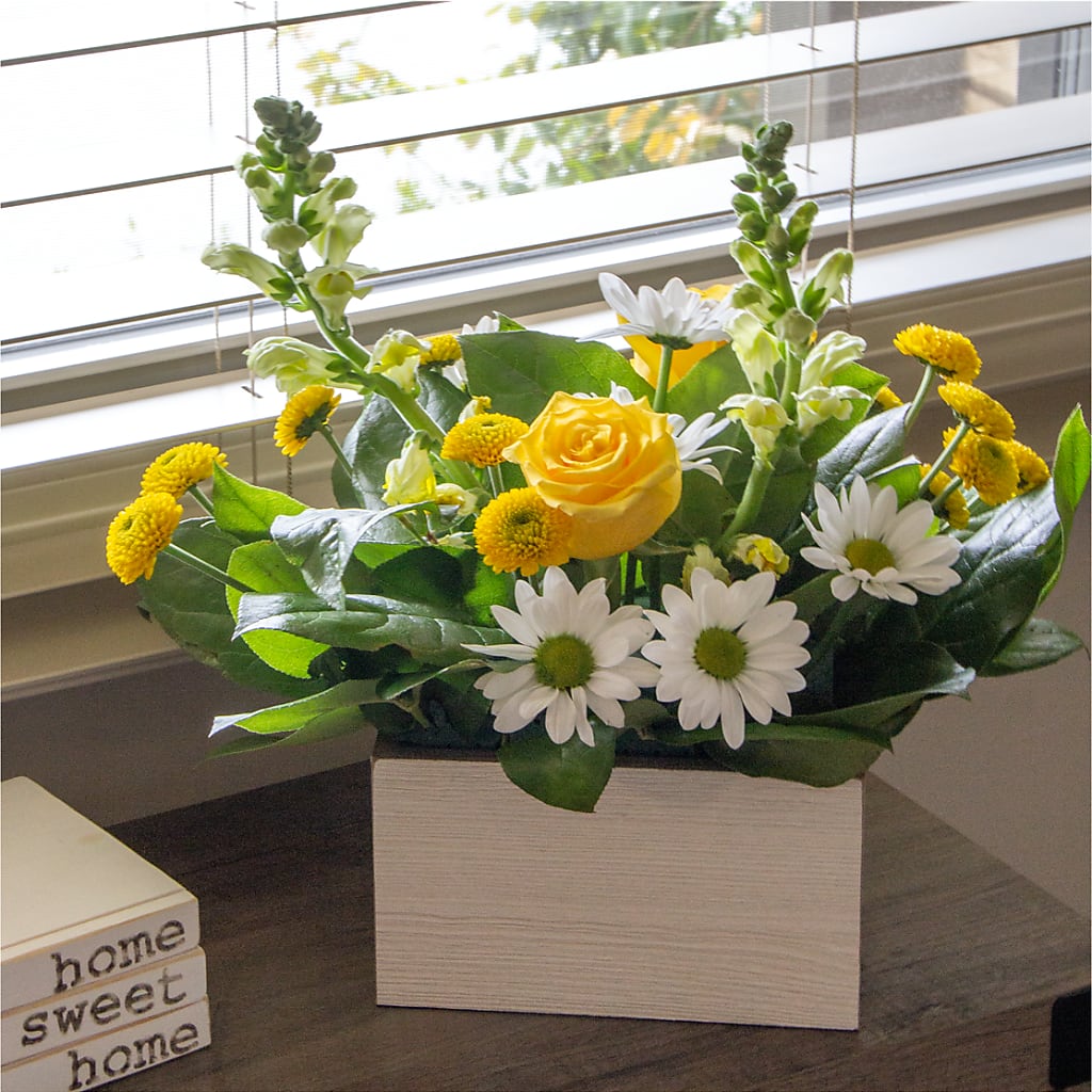 Sun Salutation Box Bouquet – VIVA'S FLOWER SHOP, Framingham MA