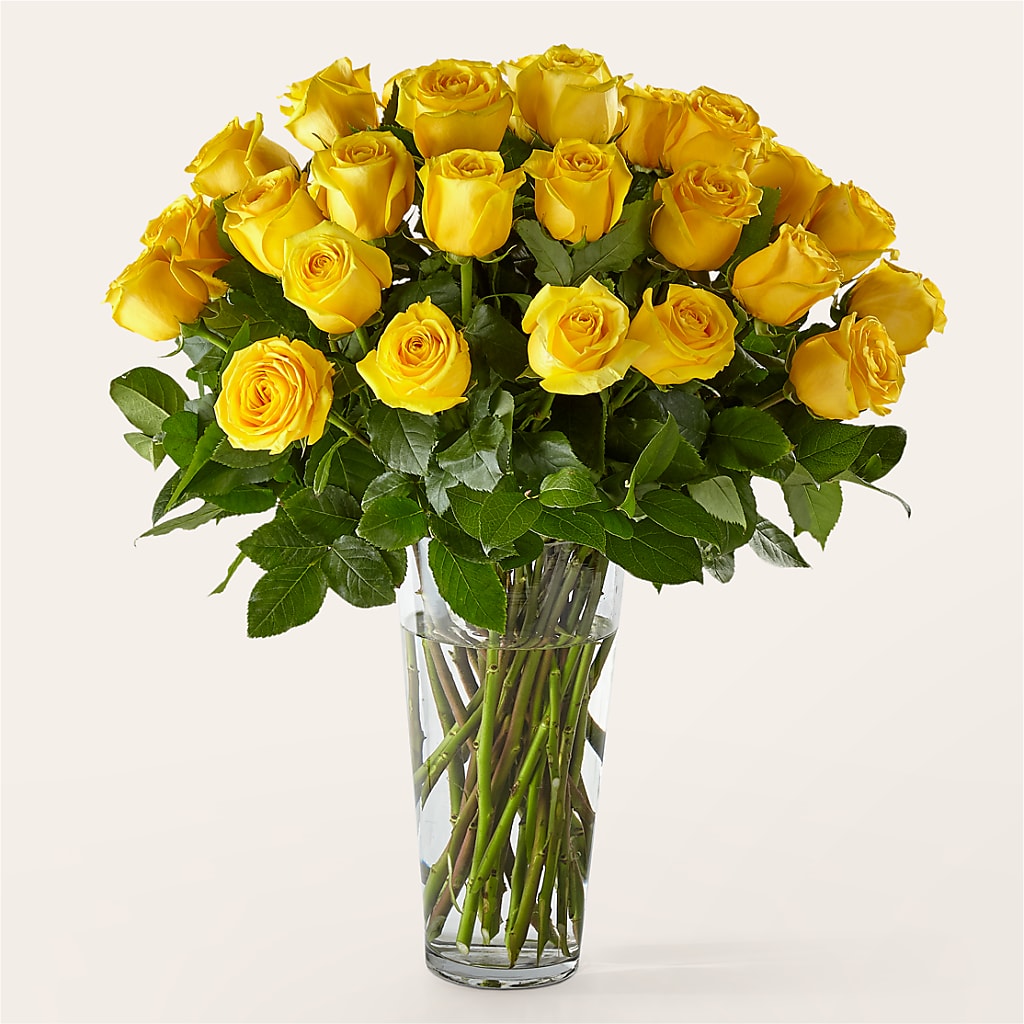 Long Stem Yellow Rose Bouquet – VIVA'S FLOWER SHOP, Framingham MA