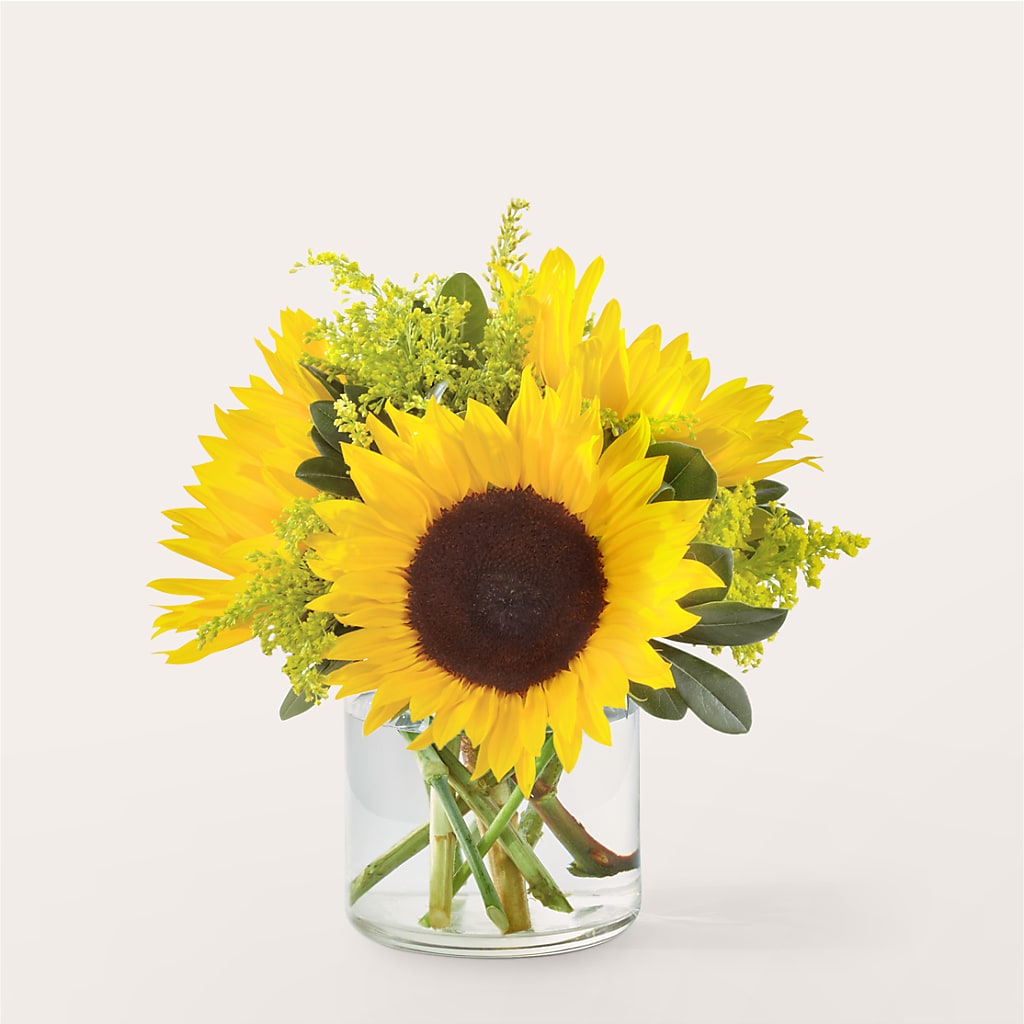 Beaming Sunflower Bouquet – VIVA'S FLOWER SHOP, Framingham MA