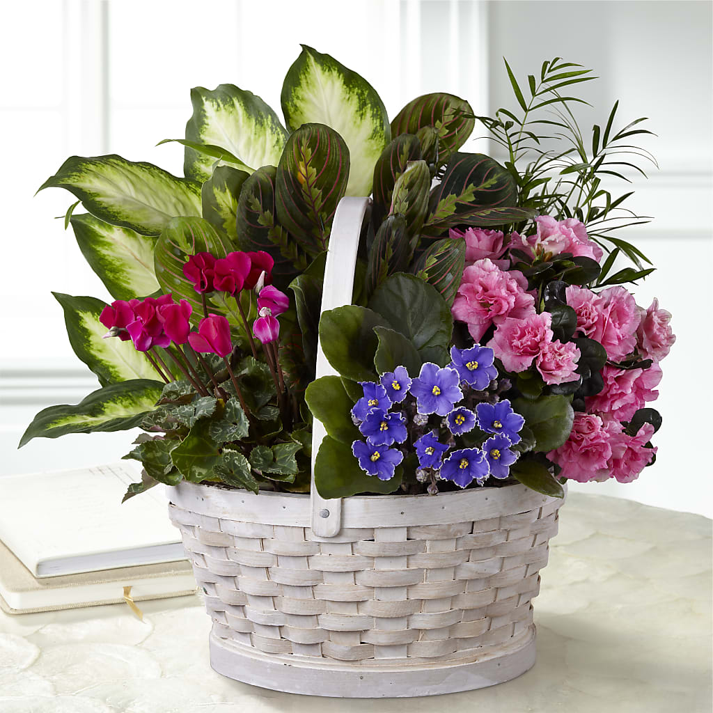Peaceful Garden Planter – VIVA'S FLOWER SHOP, Framingham MA