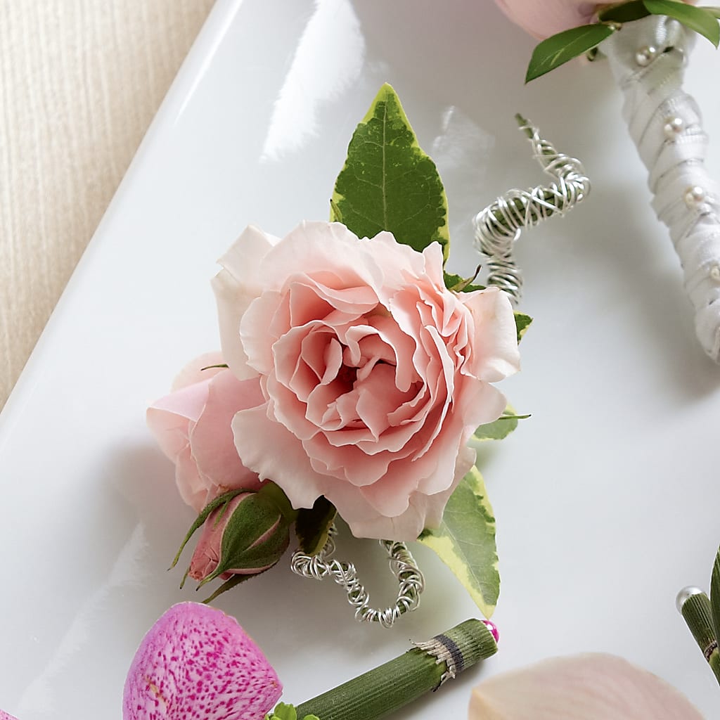 Pink Spray Rose Boutonniere – VIVA'S FLOWER SHOP, Framingham MA