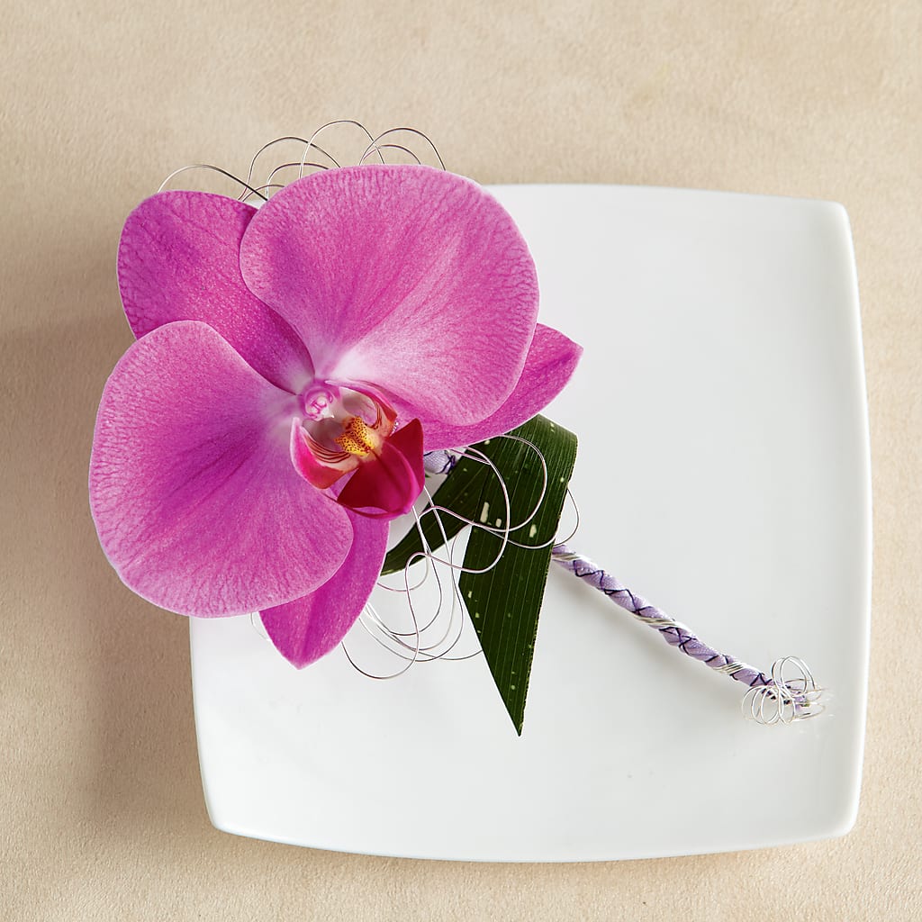 Glorious Boutonniere – VIVA'S FLOWER SHOP, Framingham MA