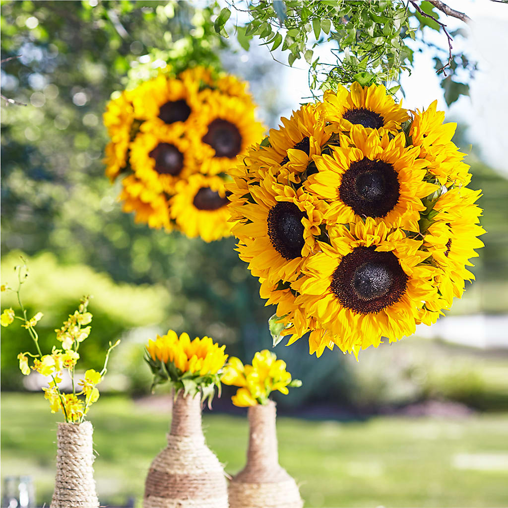 Sublime Garden Hanging Arrangement – VIVA'S FLOWER SHOP, Framingham MA