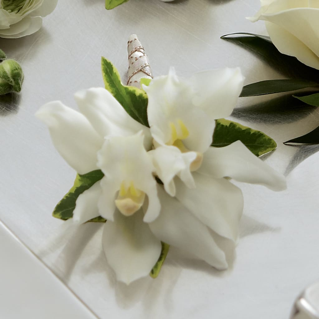 White Mini Cymbidium Boutonniere – VIVA'S FLOWER SHOP, Framingham MA