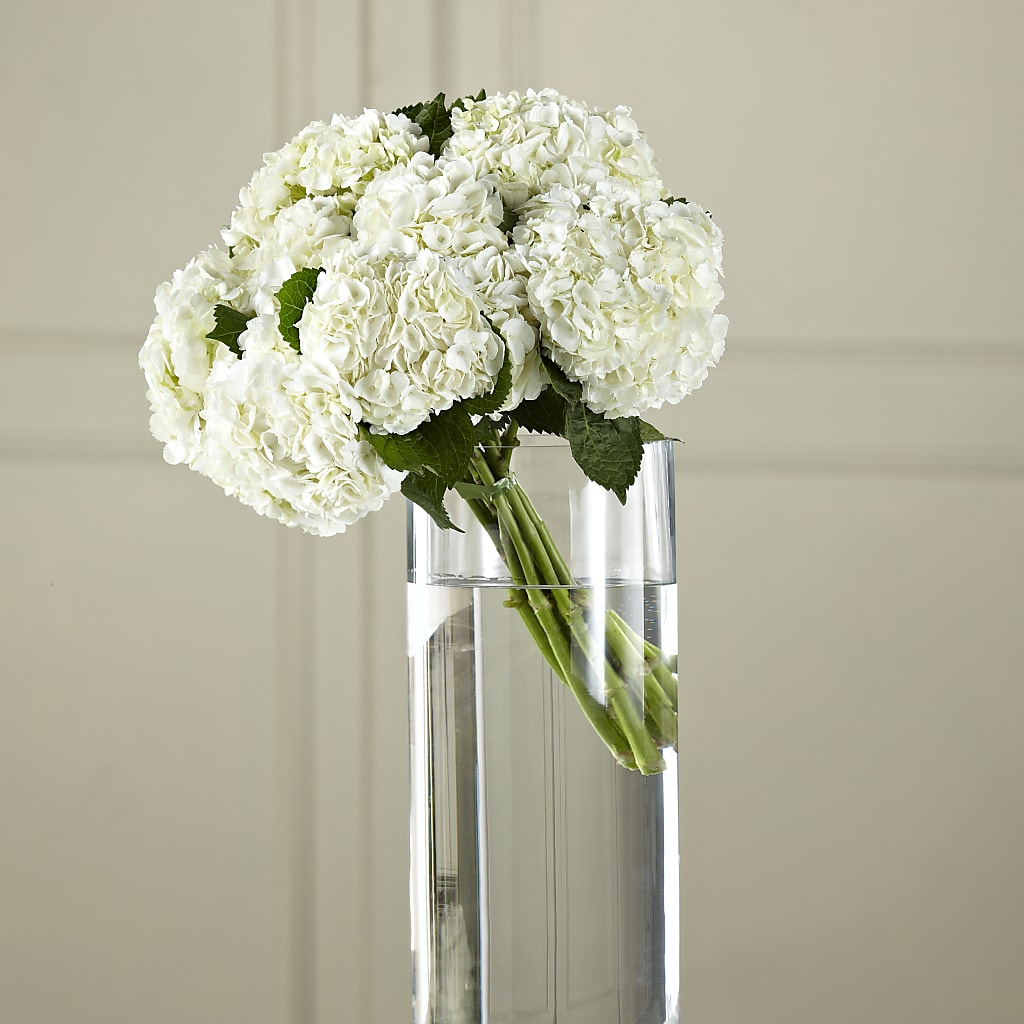 White Hydrangea Hand-Tied Bouquet – VIVA'S FLOWER SHOP, Framingham MA