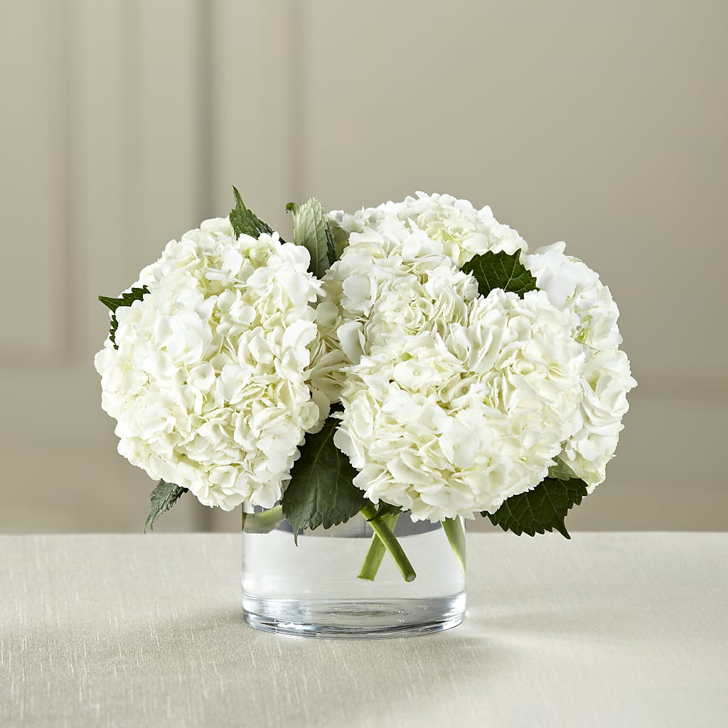White Hydrangea Bouquet – VIVA'S FLOWER SHOP, Framingham MA