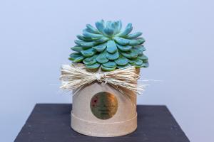 Succulent Bouquet – VIVA'S FLOWER SHOP, Framingham MA