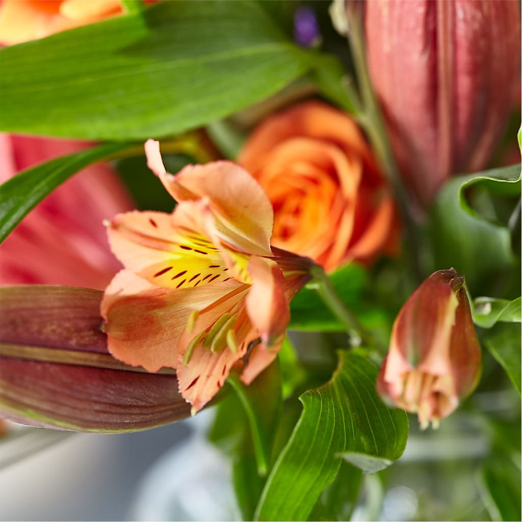 Bold & Bright – A Florist Original – VIVA'S FLOWER SHOP, Framingham MA