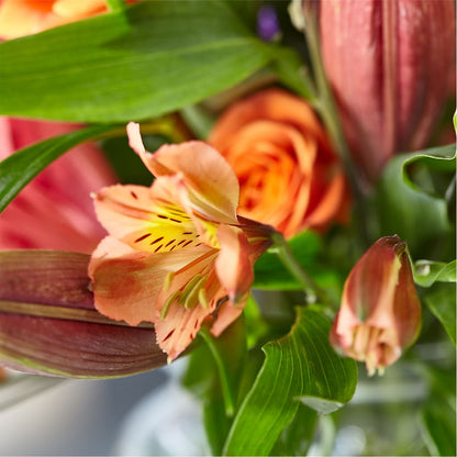 Bold & Bright – A Florist Original – VIVA'S FLOWER SHOP, Framingham MA