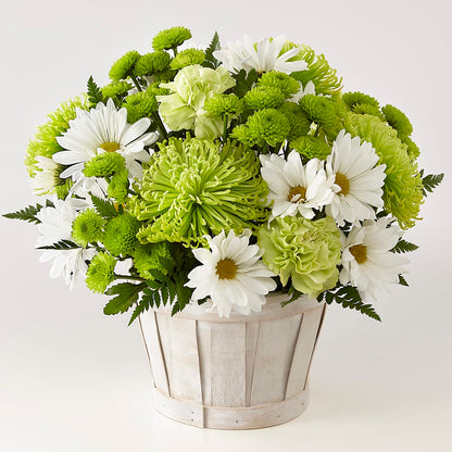 Lucky Charm Basket (Standard) – VIVA'S FLOWER SHOP, Framingham MA