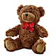 Adorable Plush Bear – VIVA'S FLOWER SHOP, Framingham MA