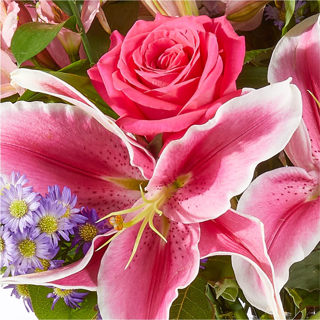 Written in the Stars Bouquet – VIVA'S FLOWER SHOP, Framingham MA