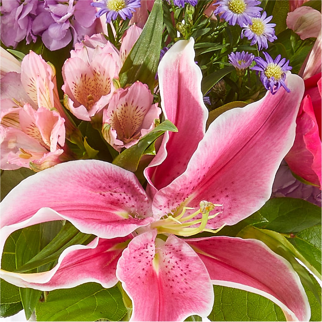 Written in the Stars Bouquet – VIVA'S FLOWER SHOP, Framingham MA