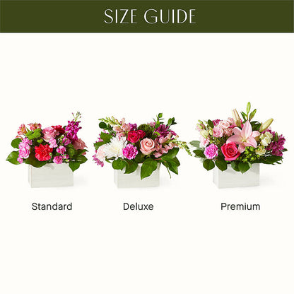 Sweetberry Box – A Florist Original – VIVA'S FLOWER SHOP, Framingham MA