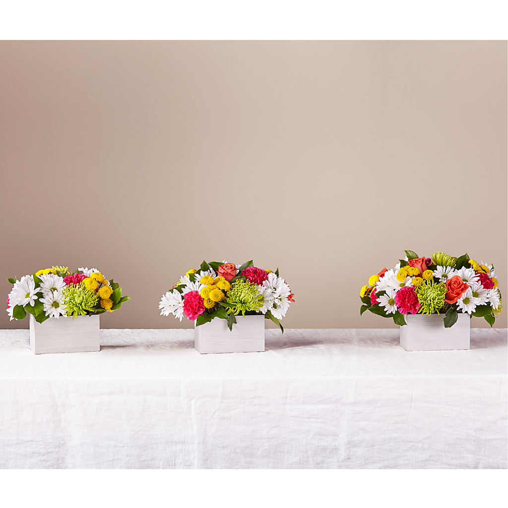 Sorbet Bouquet – VIVA'S FLOWER SHOP, Framingham MA