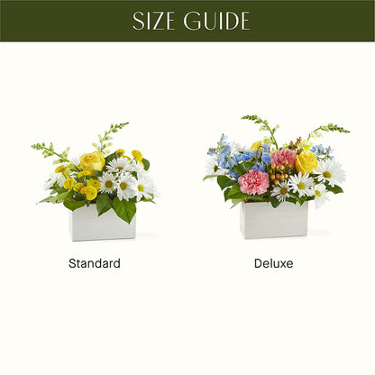 Sun Salutation Box Bouquet – VIVA'S FLOWER SHOP, Framingham MA