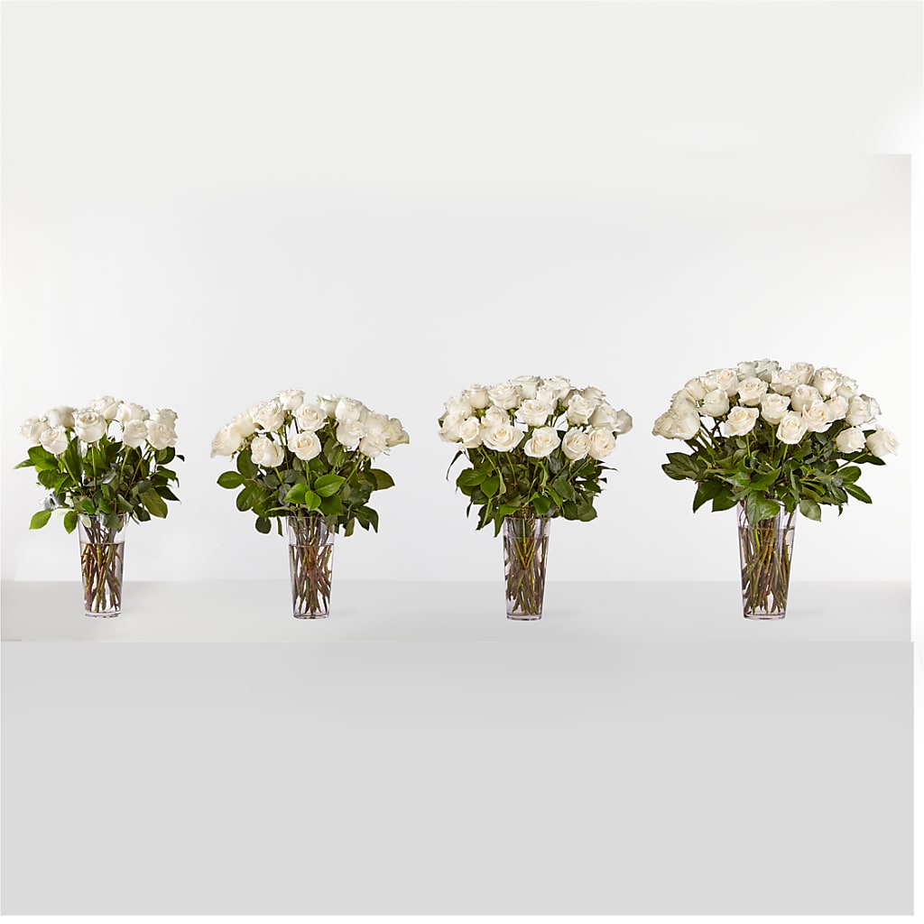 Long Stem White Rose Bouquet – VIVA'S FLOWER SHOP, Framingham MA