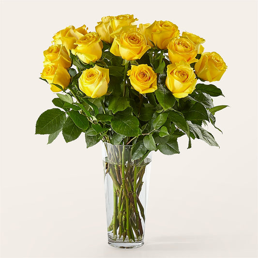 Long Stem Yellow Rose Bouquet – VIVA'S FLOWER SHOP, Framingham MA