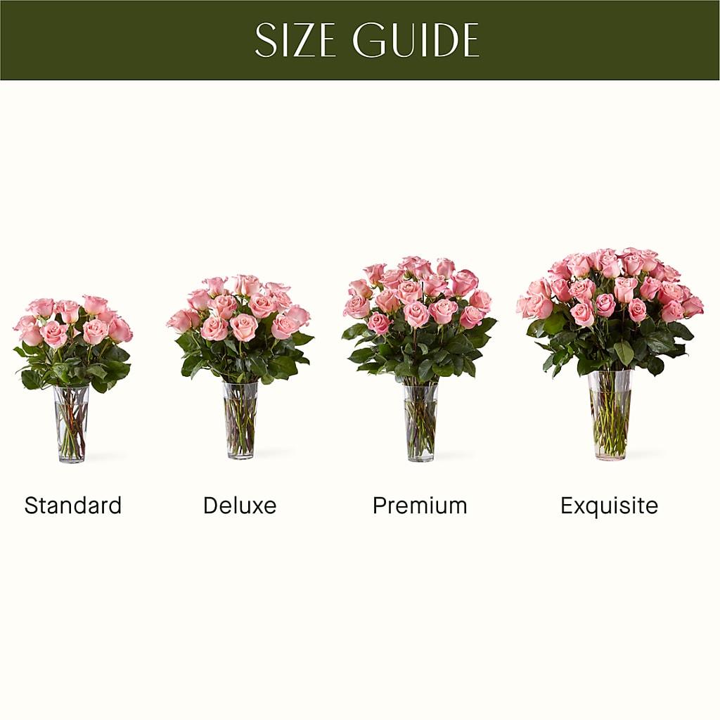 Long Stem Pink Rose Bouquet – VIVA'S FLOWER SHOP, Framingham MA