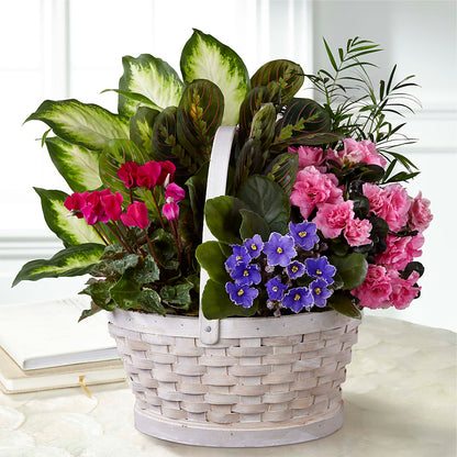 Peaceful Garden Planter – VIVA'S FLOWER SHOP, Framingham MA