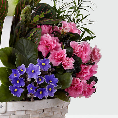 Peaceful Garden Planter – VIVA'S FLOWER SHOP, Framingham MA
