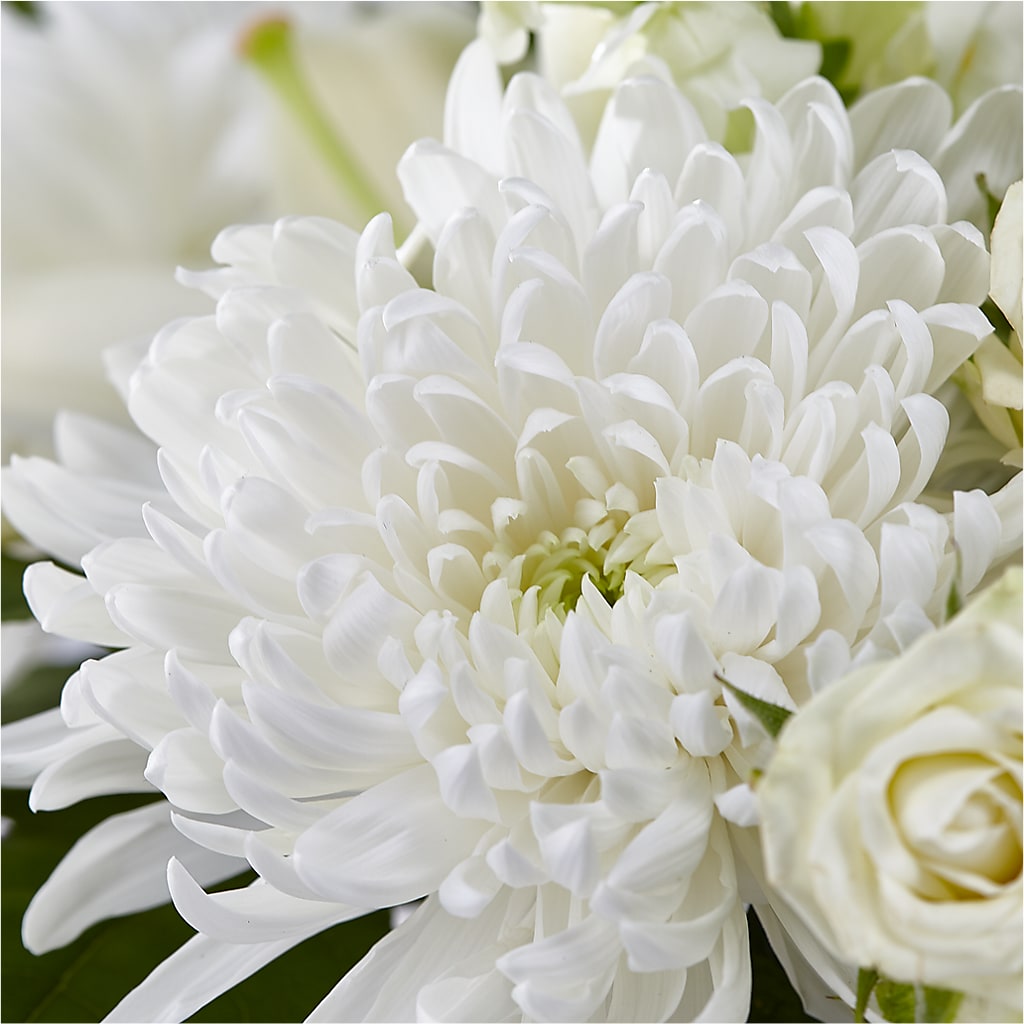 Classic Ivory – A Florist Original – VIVA'S FLOWER SHOP, Framingham MA