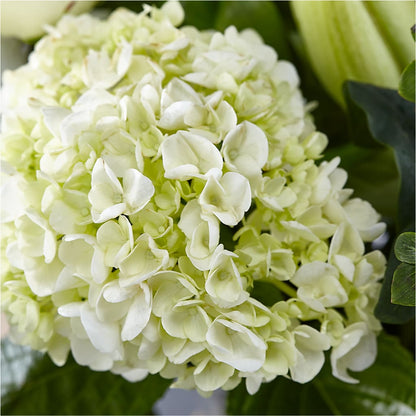 Classic Ivory – A Florist Original – VIVA'S FLOWER SHOP, Framingham MA