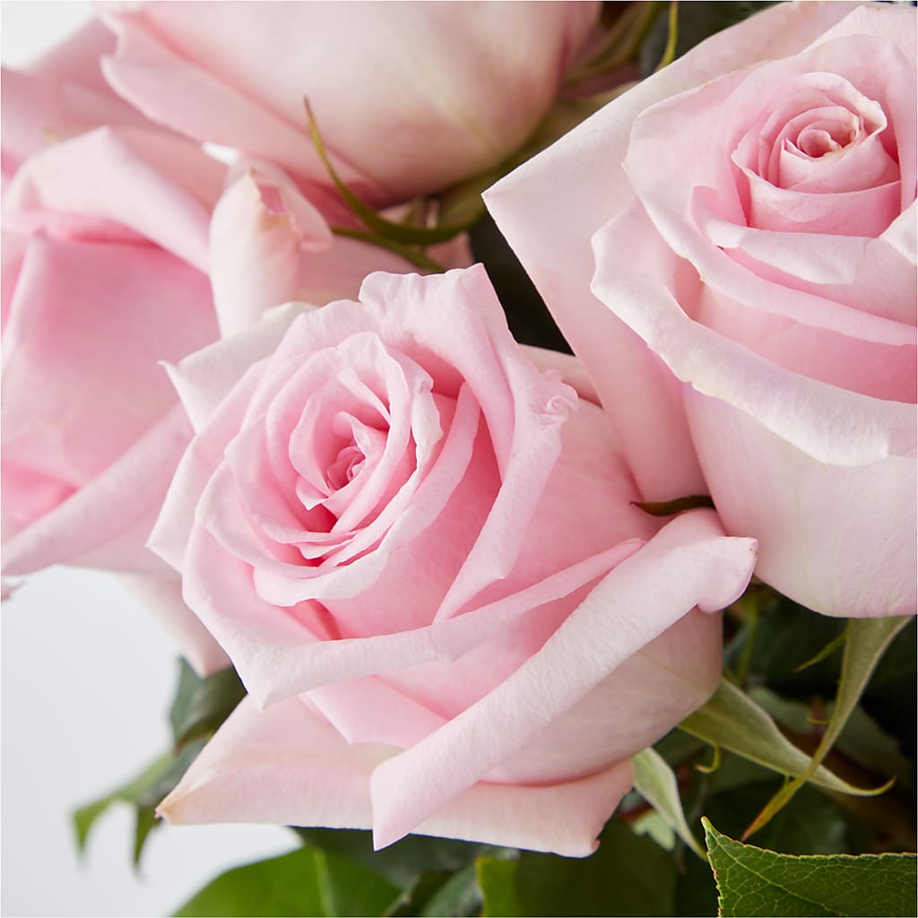 Picture Perfect Pink Rose Bouquet – VIVA'S FLOWER SHOP, Framingham MA