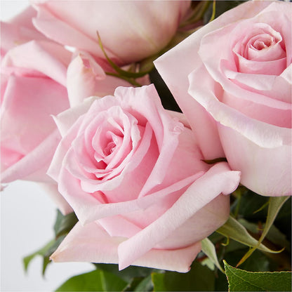Picture Perfect Pink Rose Bouquet – VIVA'S FLOWER SHOP, Framingham MA