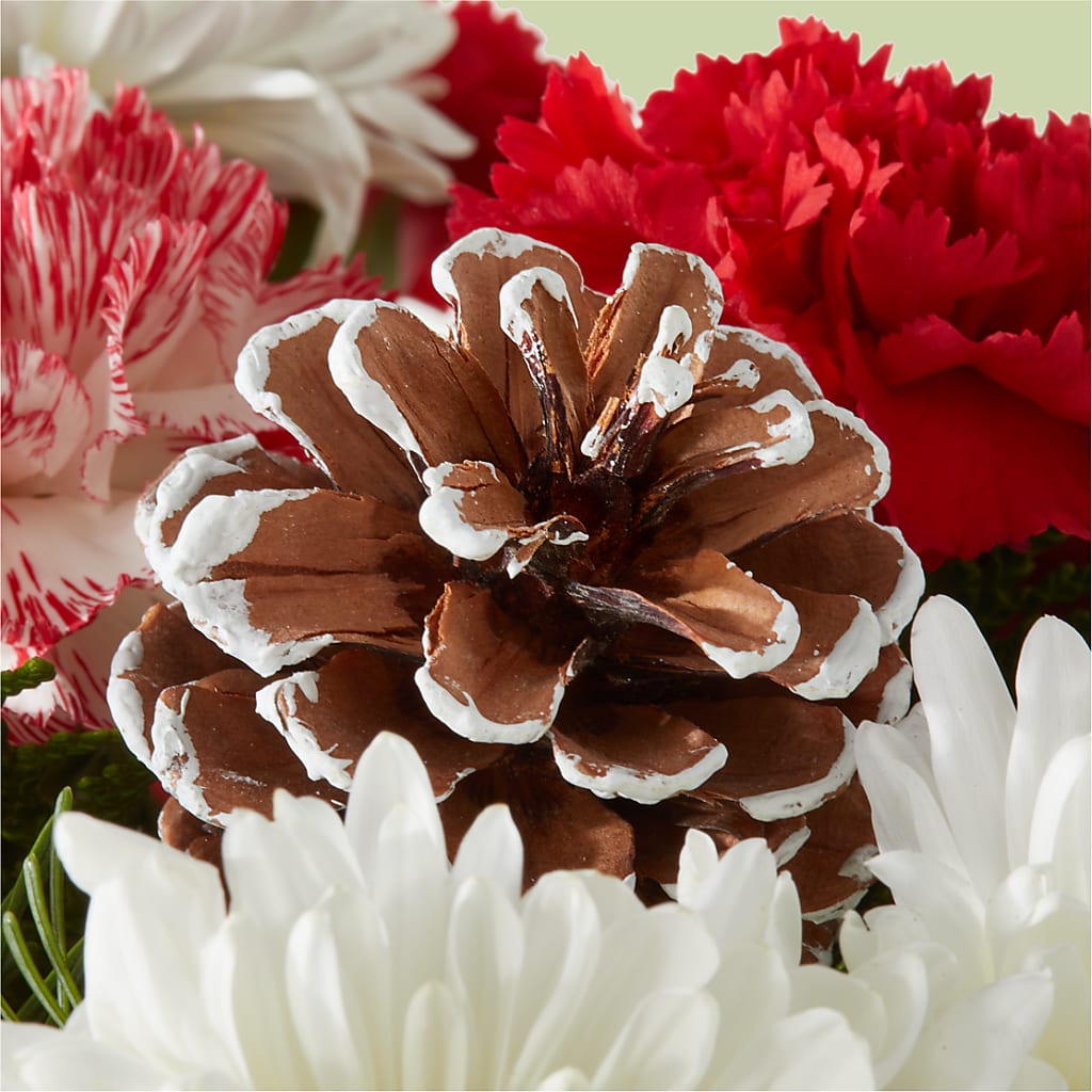 Candy Cane Lane Bouquet – VIVA'S FLOWER SHOP, Framingham MA
