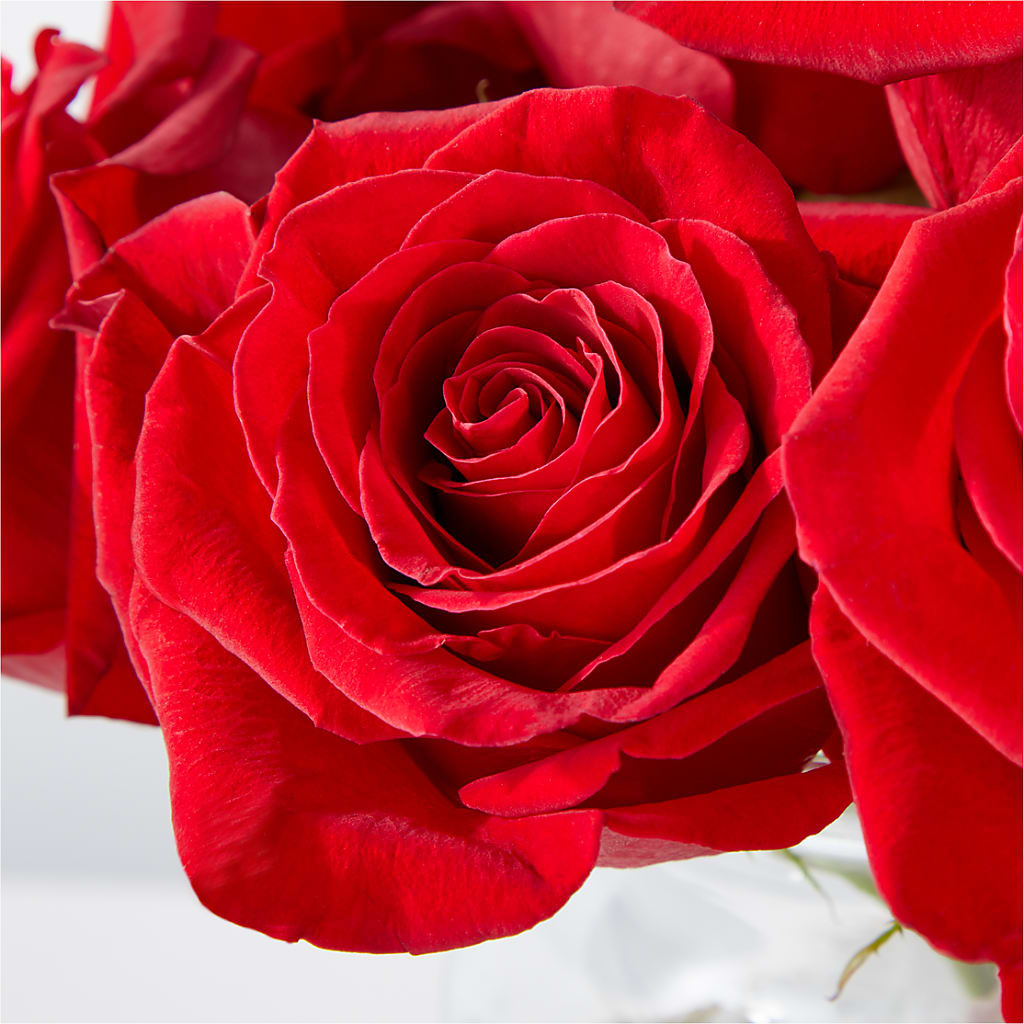 Cupid's Embrace Red Rose Bouquet – VIVA'S FLOWER SHOP, Framingham MA