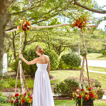 Arbor of Love Archway – VIVA'S FLOWER SHOP, Framingham MA