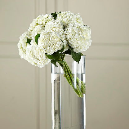 White Hydrangea Hand-Tied Bouquet – VIVA'S FLOWER SHOP, Framingham MA