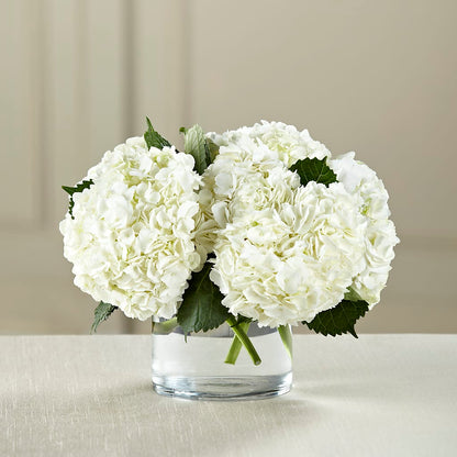White Hydrangea Bouquet – VIVA'S FLOWER SHOP, Framingham MA